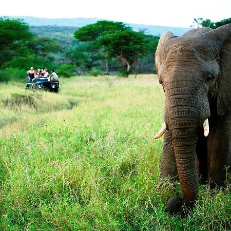 Thula Thula Exclusive Private Game Reserve & Lodge Ntambanana Exterior photo