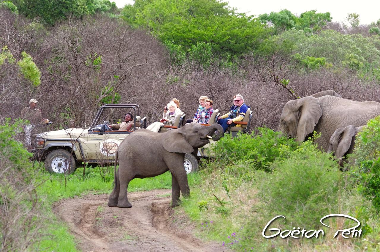 Thula Thula Exclusive Private Game Reserve & Lodge Ntambanana Exterior photo