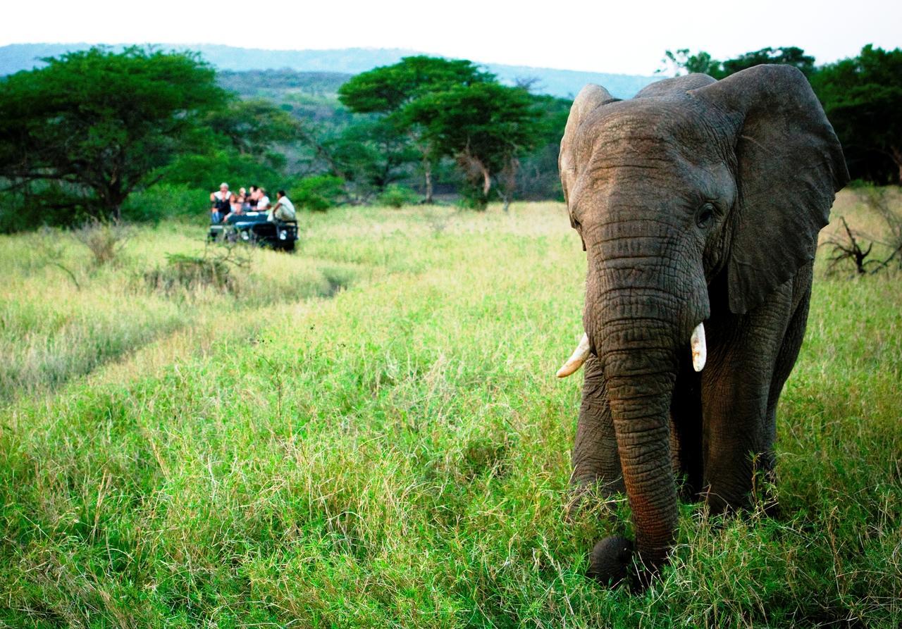 Thula Thula Exclusive Private Game Reserve & Lodge Ntambanana Exterior photo