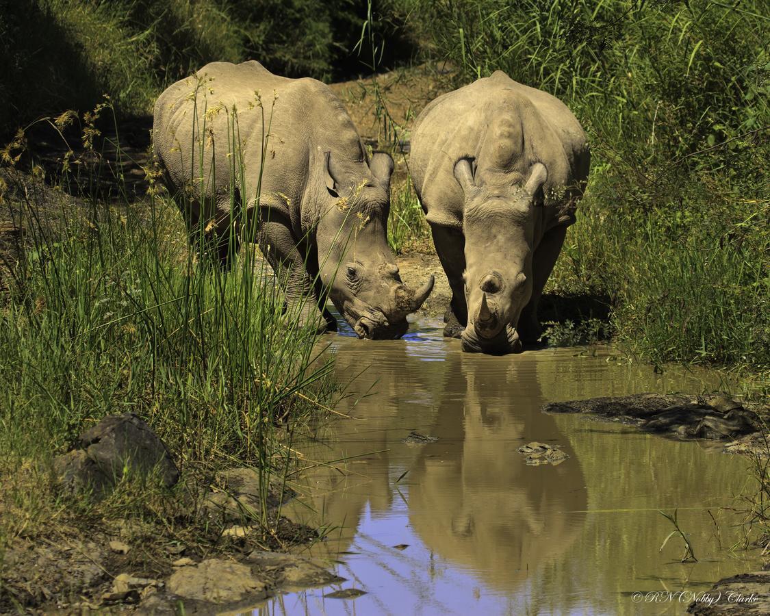 Thula Thula Exclusive Private Game Reserve & Lodge Ntambanana Exterior photo