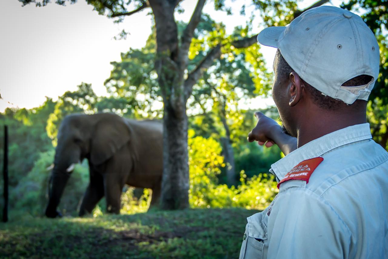 Thula Thula Exclusive Private Game Reserve & Lodge Ntambanana Exterior photo