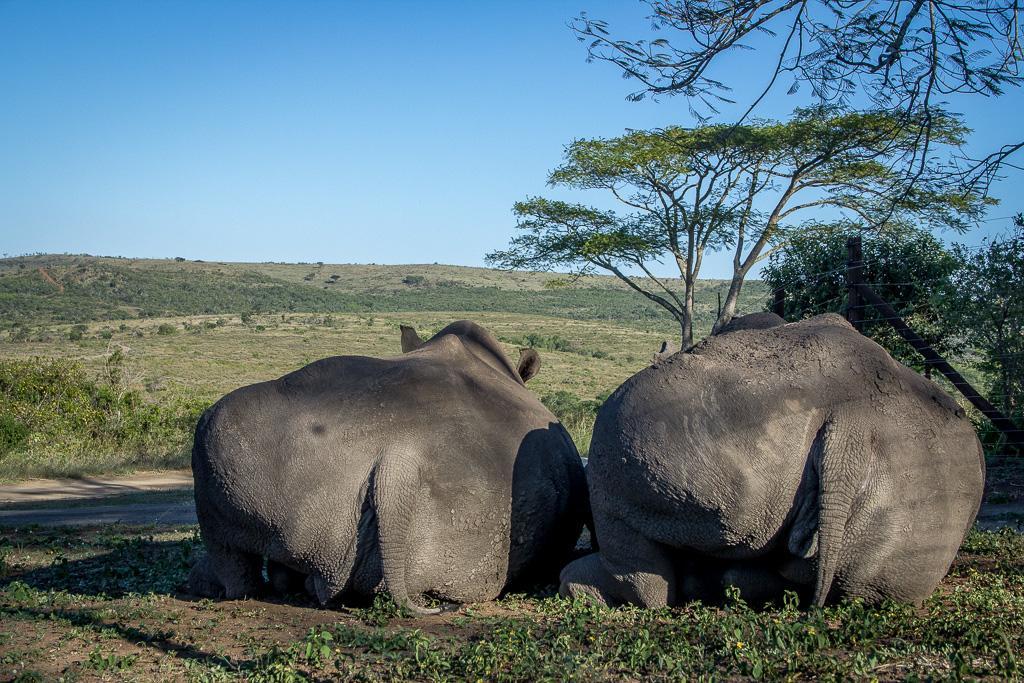 Thula Thula Exclusive Private Game Reserve & Lodge Ntambanana Exterior photo