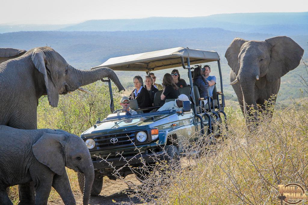 Thula Thula Exclusive Private Game Reserve & Lodge Ntambanana Exterior photo