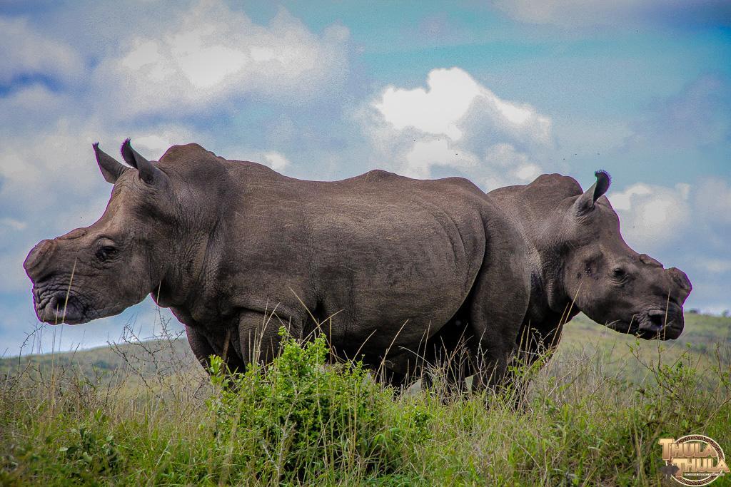 Thula Thula Exclusive Private Game Reserve & Lodge Ntambanana Exterior photo