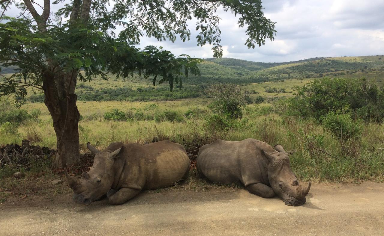 Thula Thula Exclusive Private Game Reserve & Lodge Ntambanana Exterior photo